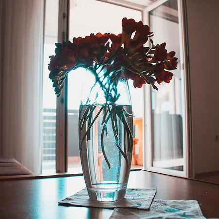Apartment Ankica Stinjan